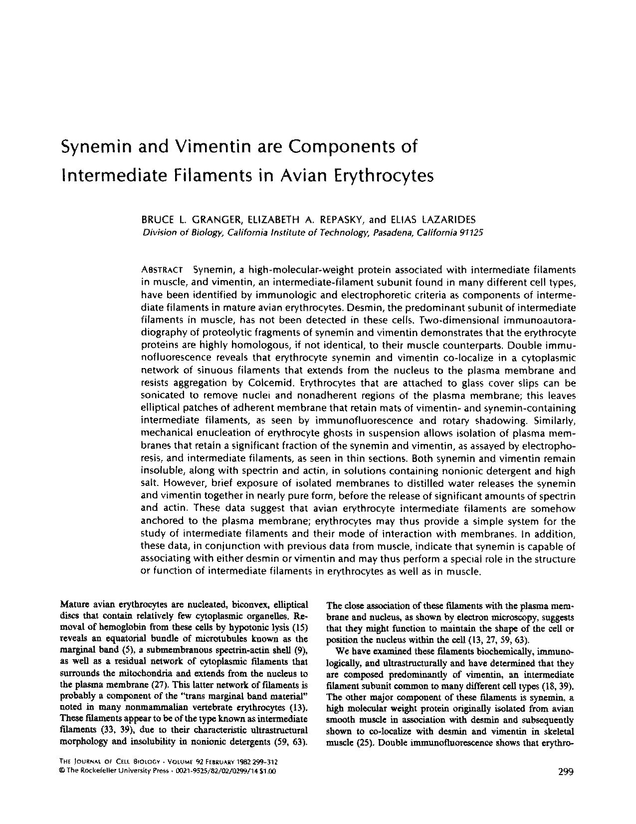 example of the function of intermediate filaments