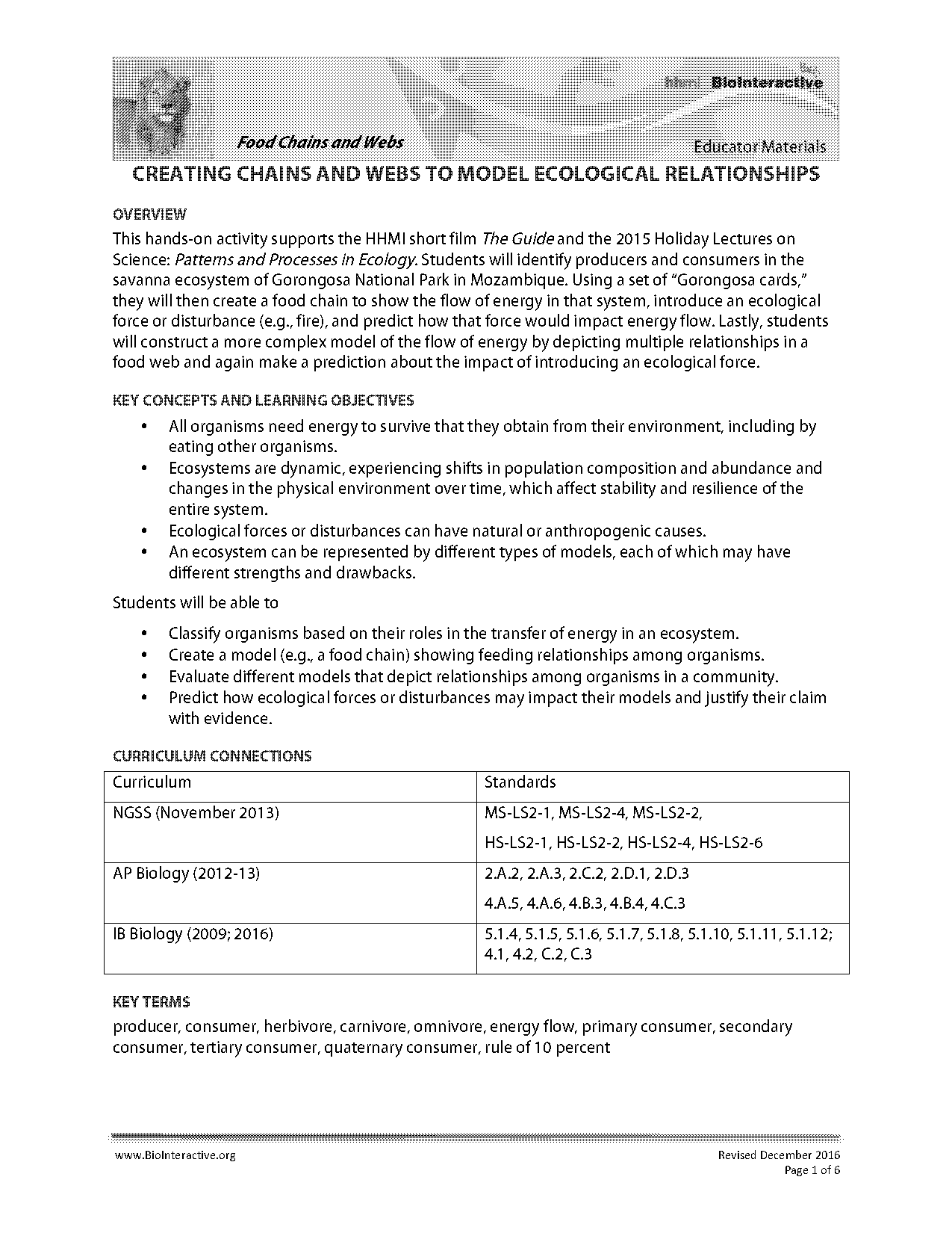 energy pyramid examples simple labled